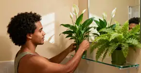 Depois que vi o estudo da NASA, adotei essas plantas e não me arrependi