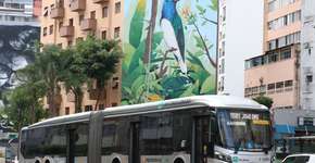 Domingão Tarifa Zero: São Paulo oferece transporte público grátis