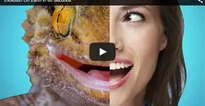 Foto: (Imagem sem texto alternativo disponivel ID [1895375])