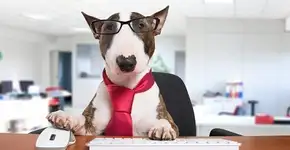 Foto: (Getty Images/iStockphoto)