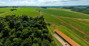 Escola oferece curso técnico gratuito em agropecuária