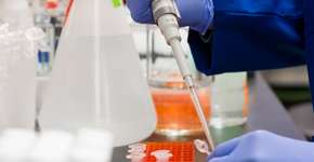 Pesquisadoras brasileiras desenvolvem imunizante contra os efeitos da cocaína