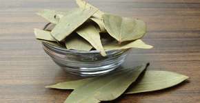 Foto: (iSTock/Sadasiba Behera)