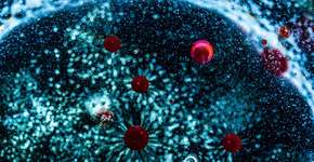 Foto: (David Benito/istock)