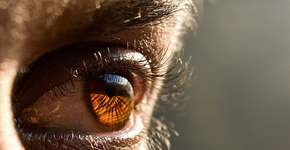 Foto: (DigitalSoul/istock)