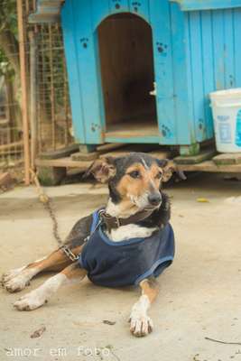 Foto: Reprodução/ Facebook