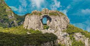 Foto: (Istock/Odairson Antonello)