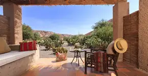 Foto: (Divulgação)