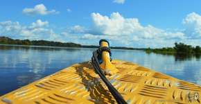 Foto: (Imagem sem texto alternativo disponivel ID [1868976])