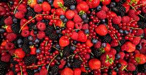 Foto: (iSTock/amriphoto)