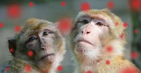 Foto: (BeritK/istock)