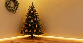 Como trazer harmonia e prosperidade para sua casa no Natal com o Feng Shui, segundo a especialista Gloria Ramos