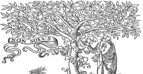 Livros da Editora Elsevier pela metade do preço