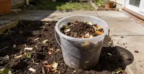 Foto: (Imagem sem texto alternativo disponivel ID [2721660])