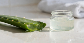 Foto: (Imagem sem texto alternativo disponivel ID [2737268])