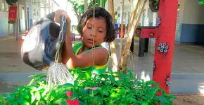 Foto: (Imagem sem texto alternativo disponivel ID [1834155])