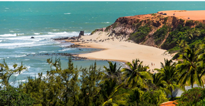 Foto: (Fernando Chiriboga/Divulgação)