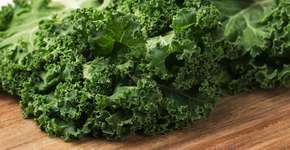 Foto: (iStock/Galina Oleksenko)