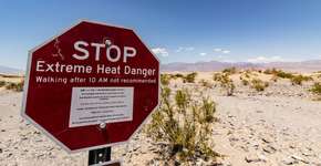 Foto: (Stuart Picton/iStock)