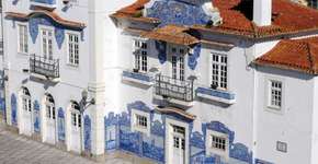 Foto: (Imagem sem texto alternativo disponivel ID [1515164])