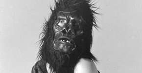 Foto: (Imagem sem texto alternativo disponivel ID [1851608])