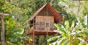 Conheça 11 casas na árvore inusitadas