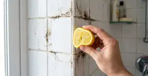 Derramar limão espremido nos cantos do banheiro: para que serve e quando deve ser feito