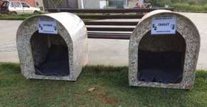 Projeto espalha casinhas sustentáveis para cães abandonados