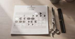 Foto: (Imagem sem texto alternativo disponivel ID [2690123])