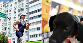 Foto: (Imagem sem texto alternativo disponivel ID [1135318])