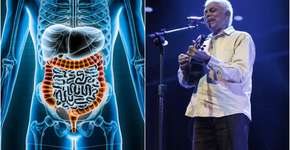 Foto: (libre de droit/istock/reprodução/instagram/paulinhodaviola)