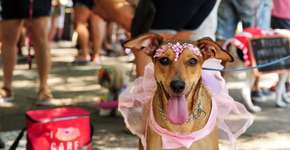 Foto: (Imagem sem texto alternativo disponivel ID [2730209])