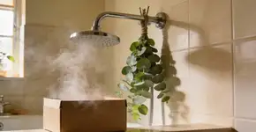 Foto: (Imagem sem texto alternativo disponivel ID [2682948])