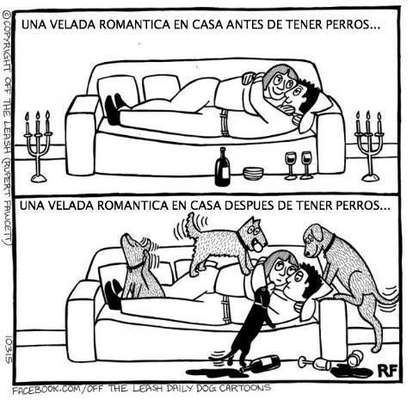 Um encontro romântico em casa antes de ter cachorros. Um encontro romântico em casa depois de ter cachorros.