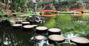 Foto: (Imagem sem texto alternativo disponivel ID [2234482])