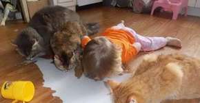 Foto: (Imagem sem texto alternativo disponivel ID [1389215])