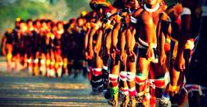 Foto: (Imagem sem texto alternativo disponivel ID [440998])