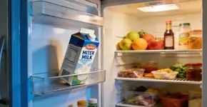 Foto: (Imagem sem texto alternativo disponivel ID [2685206])