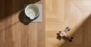 Foto: (Imagem sem texto alternativo disponivel ID [2730771])