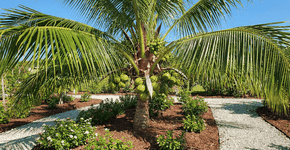 Foto: (Imagem sem texto alternativo disponivel ID [2754794])