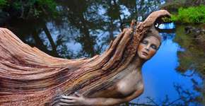 Artista usa árvores, argila e conchas para criar belas esculturas