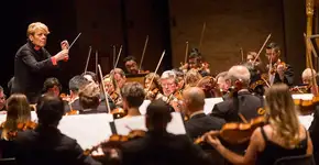 Foto: (Divulgação/GESP)