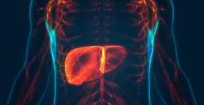 Bebida comum pode aumentar em 85% o risco de você ter câncer de fígado