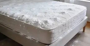 Foto: (Imagem sem texto alternativo disponivel ID [2724496])