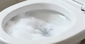 Foto: (Imagem sem texto alternativo disponivel ID [2671327])