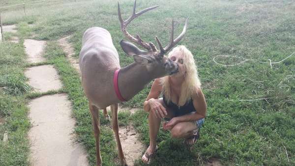 A família afirma que o animal é inofensivo (Reprodução/Jodi Proger)