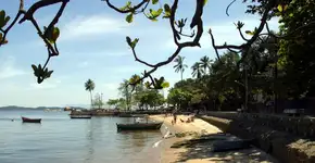 Foto: (Julio Pereira)