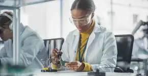 Foto: (Divulgação/IEL)