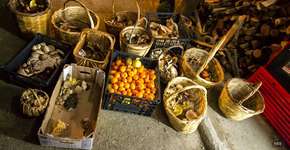 Comunidades alternativas sustentáveis surgem como opção à crise grega