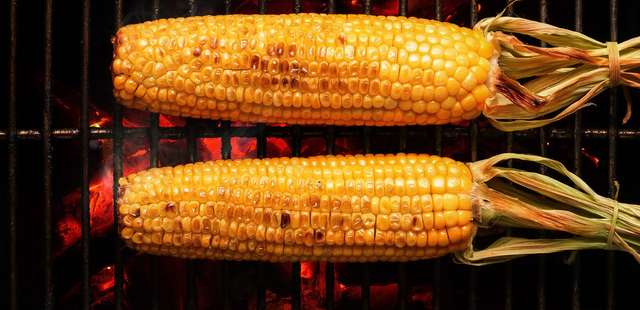 Milho assado com parmesão vai virar o hit do seu churrasco